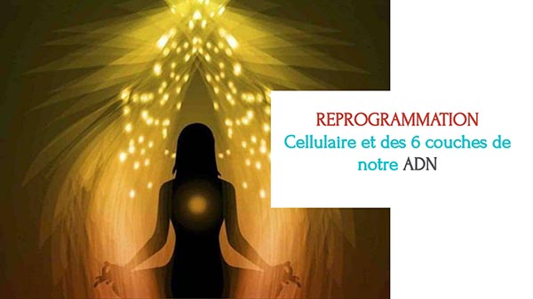 Atelier reprogrammation cellulaire