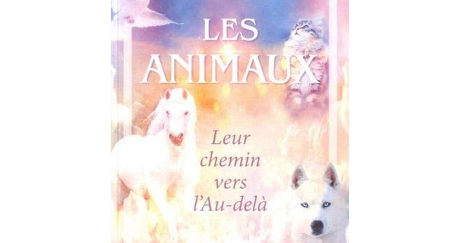 Les Animaux… Leur chemin vers l’autre monde