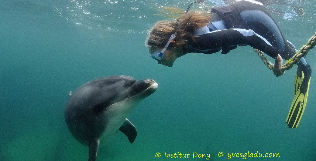 Le souffle divin des dauphins et des baleines 