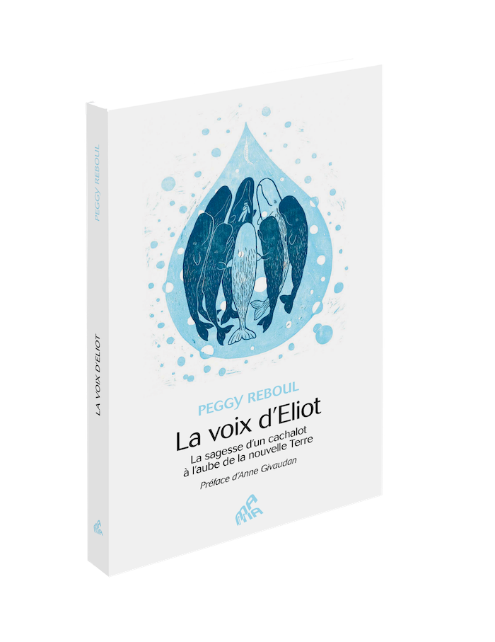 La voix d’Eliot&nbsp;: Une expérience de reliance télépathique et intuitive avec un cachalot.