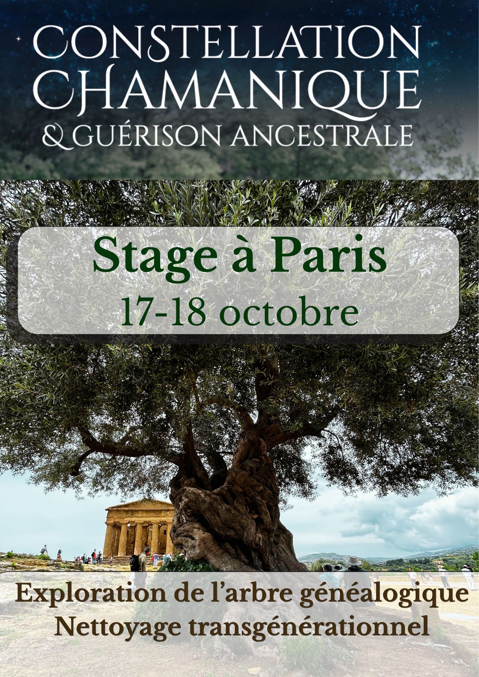 Nettoyage de l’arbre généalogique par la constellation chamanique