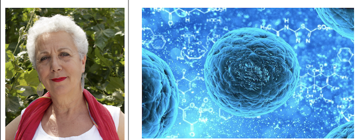 L’intelligence au cœur de nos cellules  