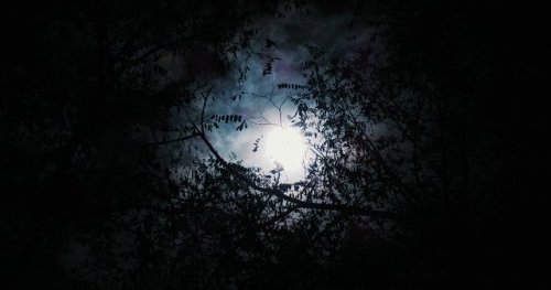 Un processus de transformation alchimique&nbsp;: la nuit noire de l’âme