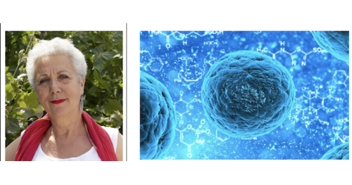 L’intelligence au cœur de nos cellules  