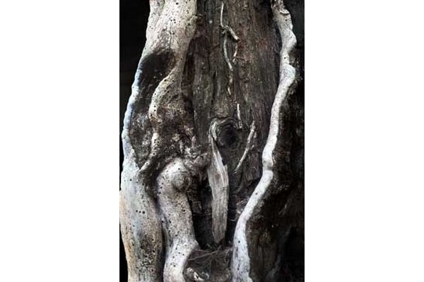  - Agora