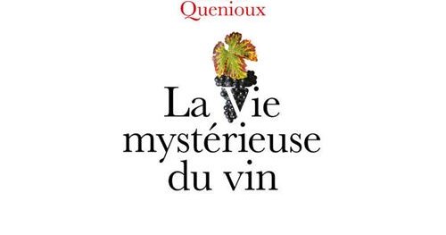 La vie mystérieuse du vin