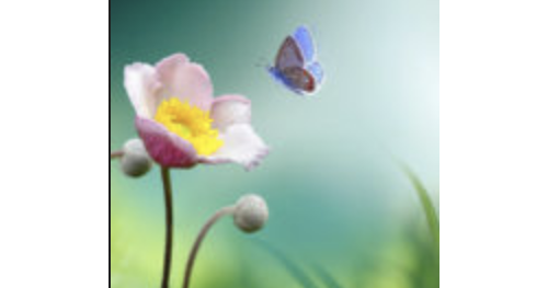 La nature au rendez-vous