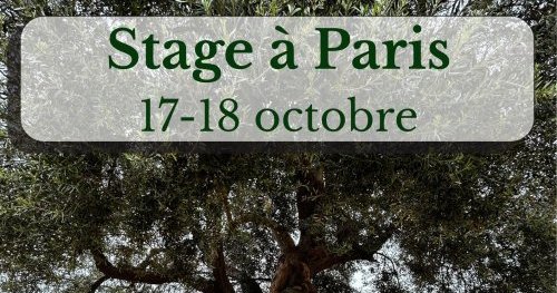 Nettoyage de l’arbre généalogique par la constellation chamanique