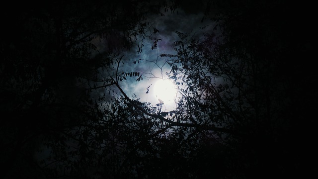 Un processus de transformation alchimique&nbsp;: la nuit noire de l’âme