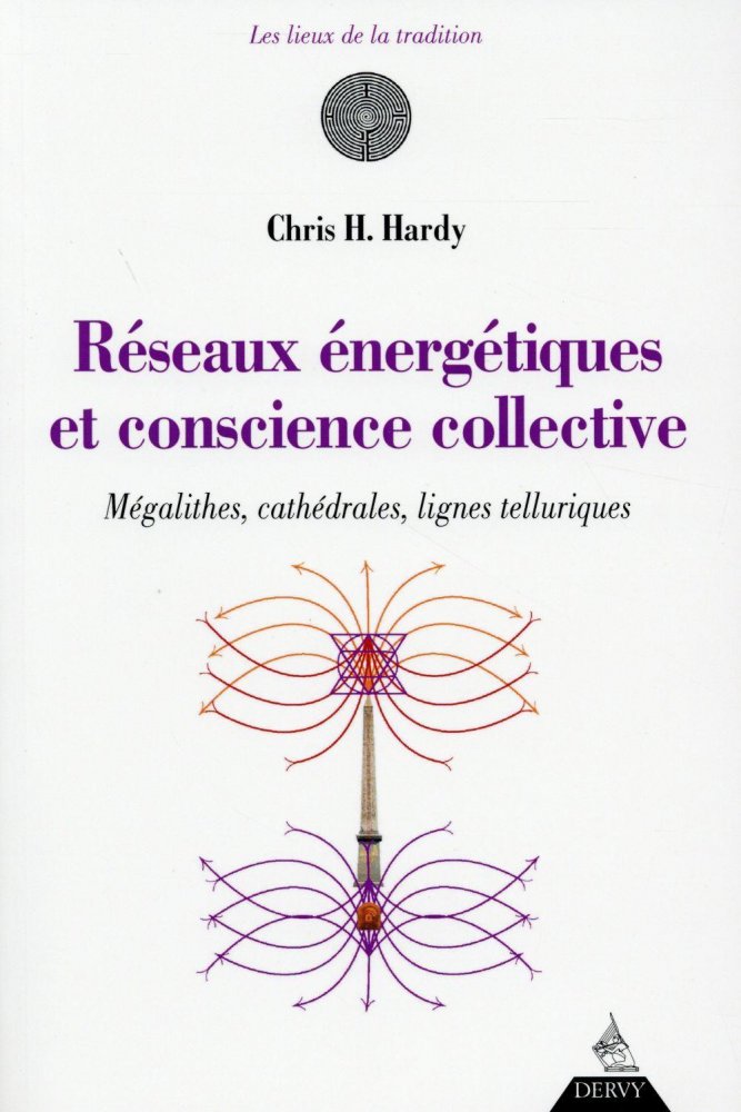Réseaux énergétiques et conscience collective