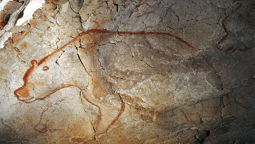 La grotte Chauvet et le culte de l’ours dans la préhistoire et l’histoire